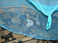 View the album Nigeria/Angola