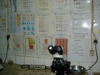 View the album Nigeria/Angola