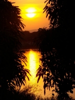 View the album Mali