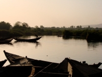 View the album Mali