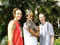 View the album USA Basketball